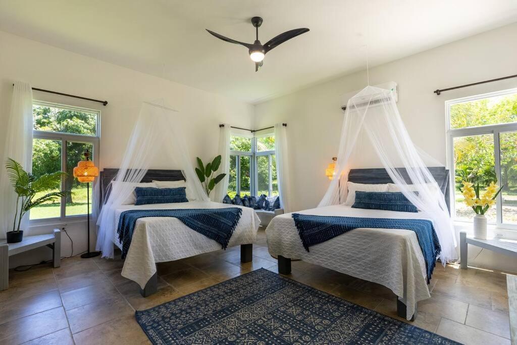 Ivy'S Cove Beach Side Condo - Luxury Villa Whitehouse Exterior photo