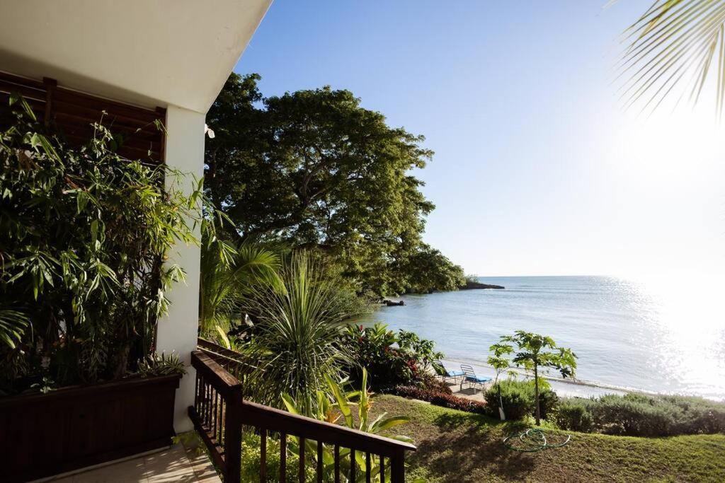 Ivy'S Cove Beach Side Condo - Luxury Villa Whitehouse Exterior photo