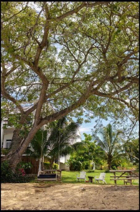 Ivy'S Cove Beach Side Condo - Luxury Villa Whitehouse Exterior photo