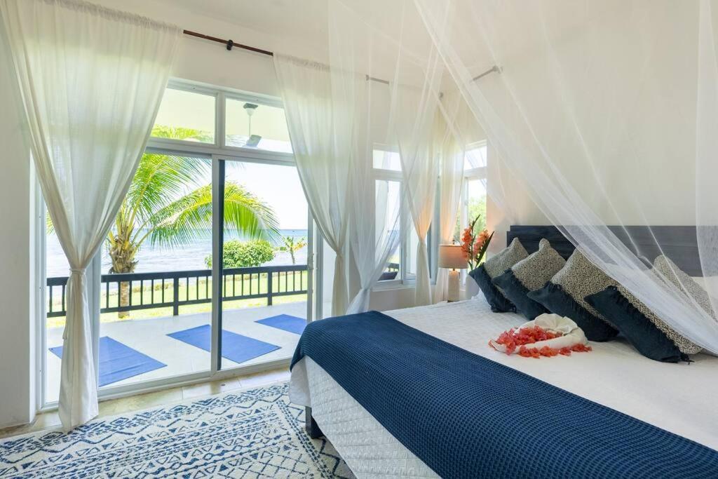 Ivy'S Cove Beach Side Condo - Luxury Villa Whitehouse Exterior photo